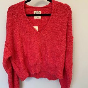 Rose Pink Free People Sweater